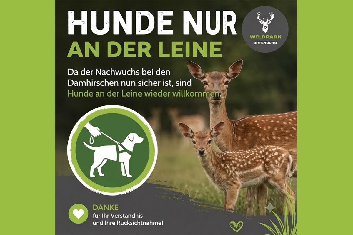 Hunde-sind-wieder-erlaubt