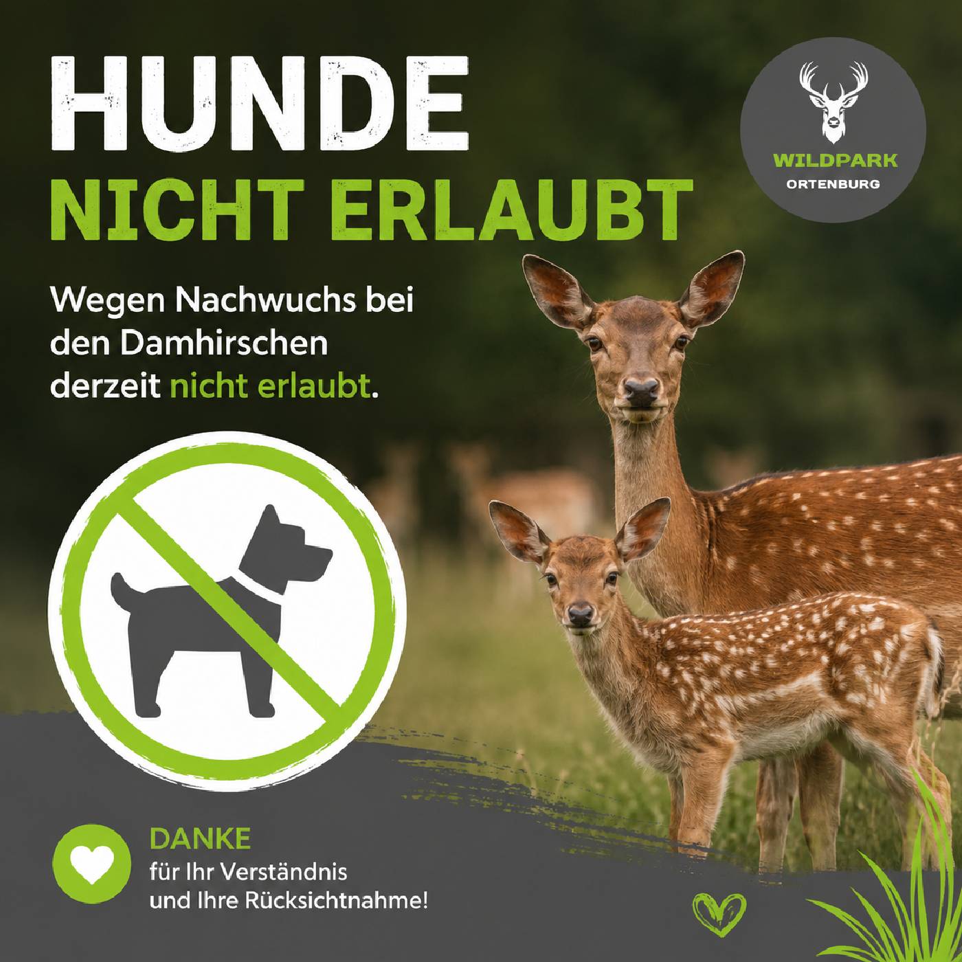 Hunde_Nicht_Erlaubt
