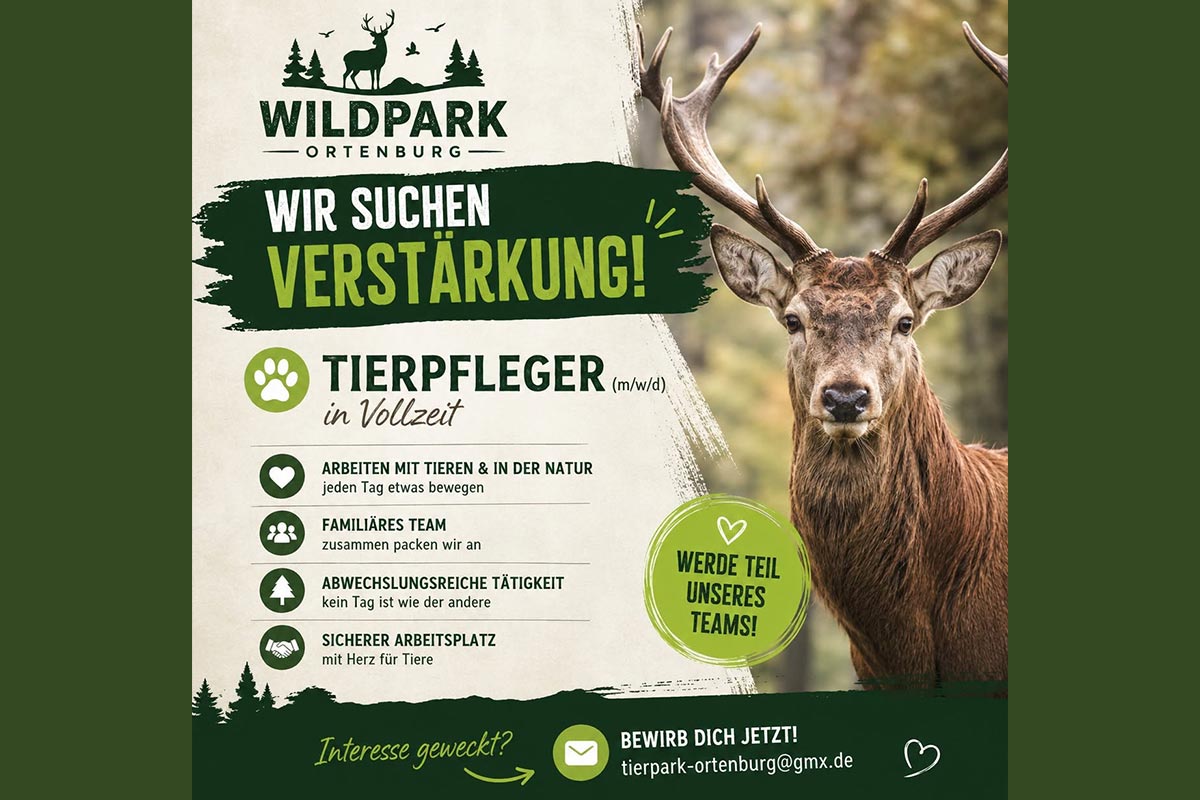 Wir suchen Verstärkung