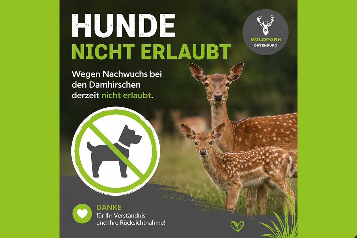 BITTE BEACHTEN SIE